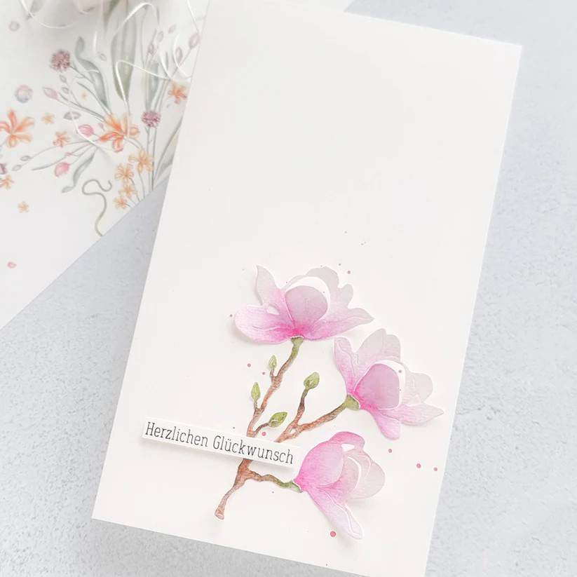 Piggy Craft ตัดโลหะตายตัดแม่พิ - Stencil Cutting Plotter บทวิจารณ์และราคา