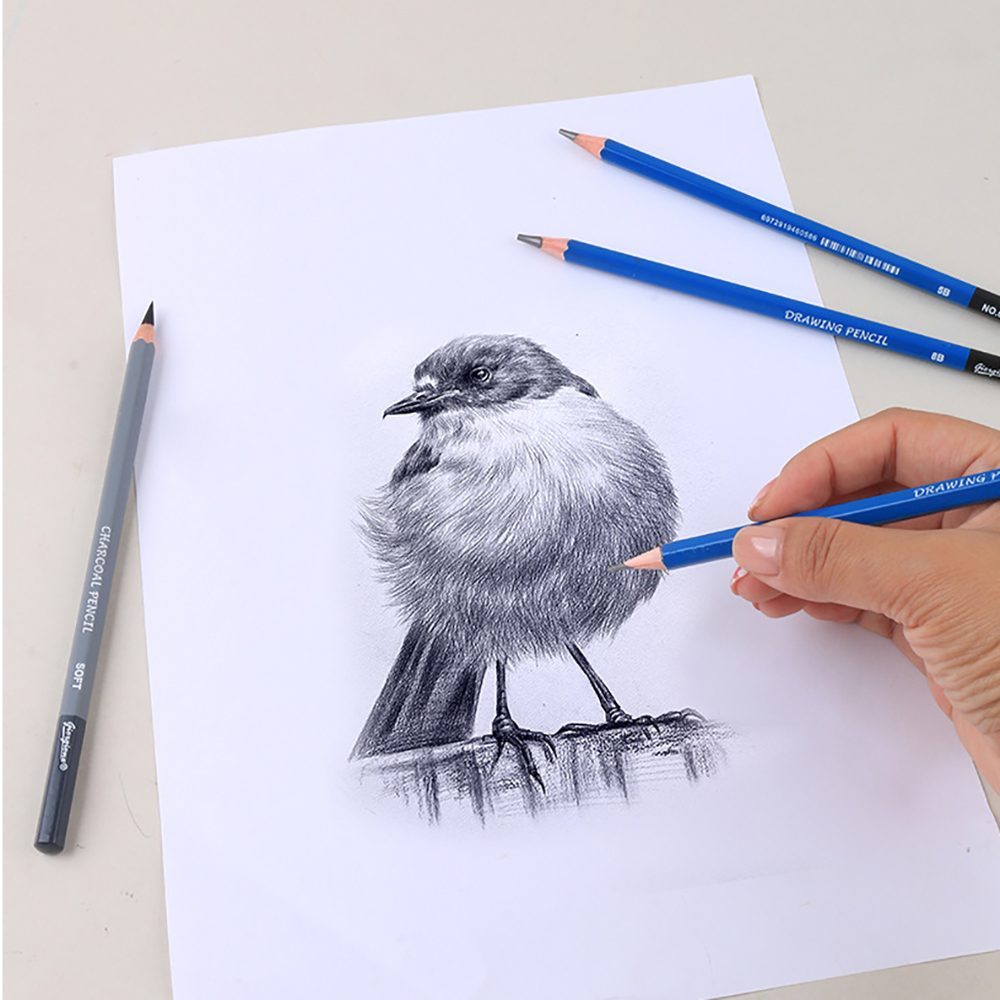 ชุดดินสอวาดภาพ 17 ชิ้น, อุปกรณ - Sketching Charcoal Set บทวิจารณ์และราคา